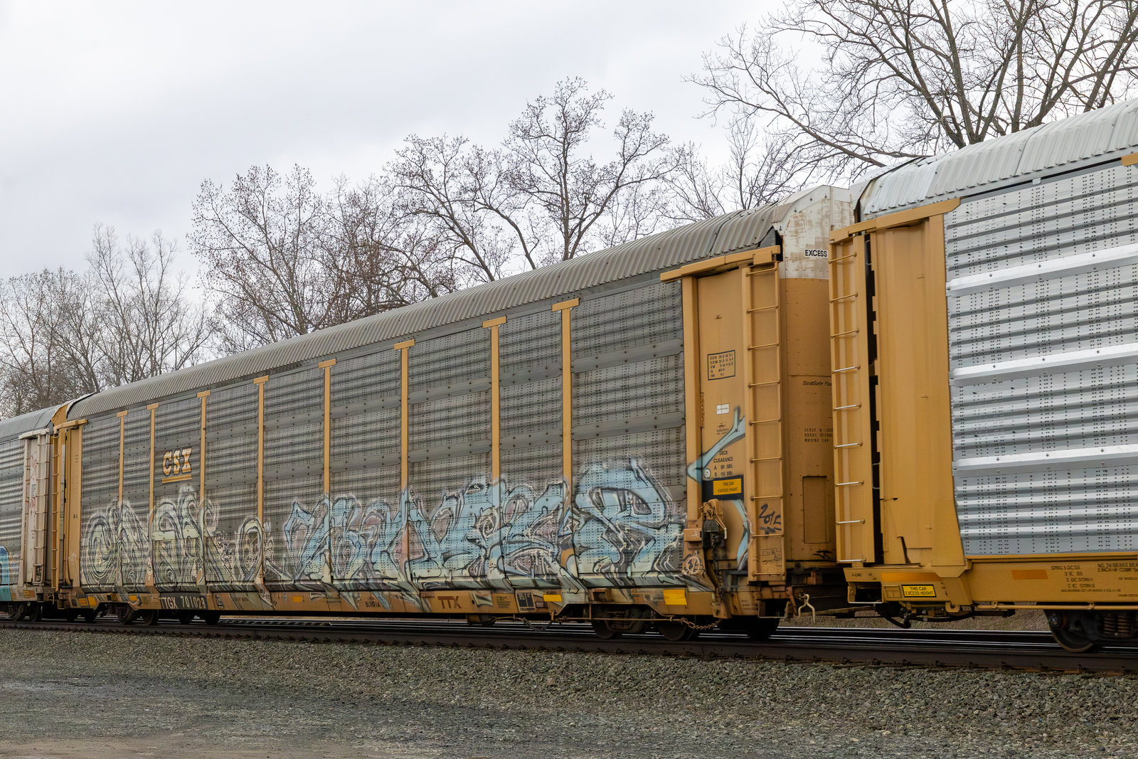 TTGX 701028