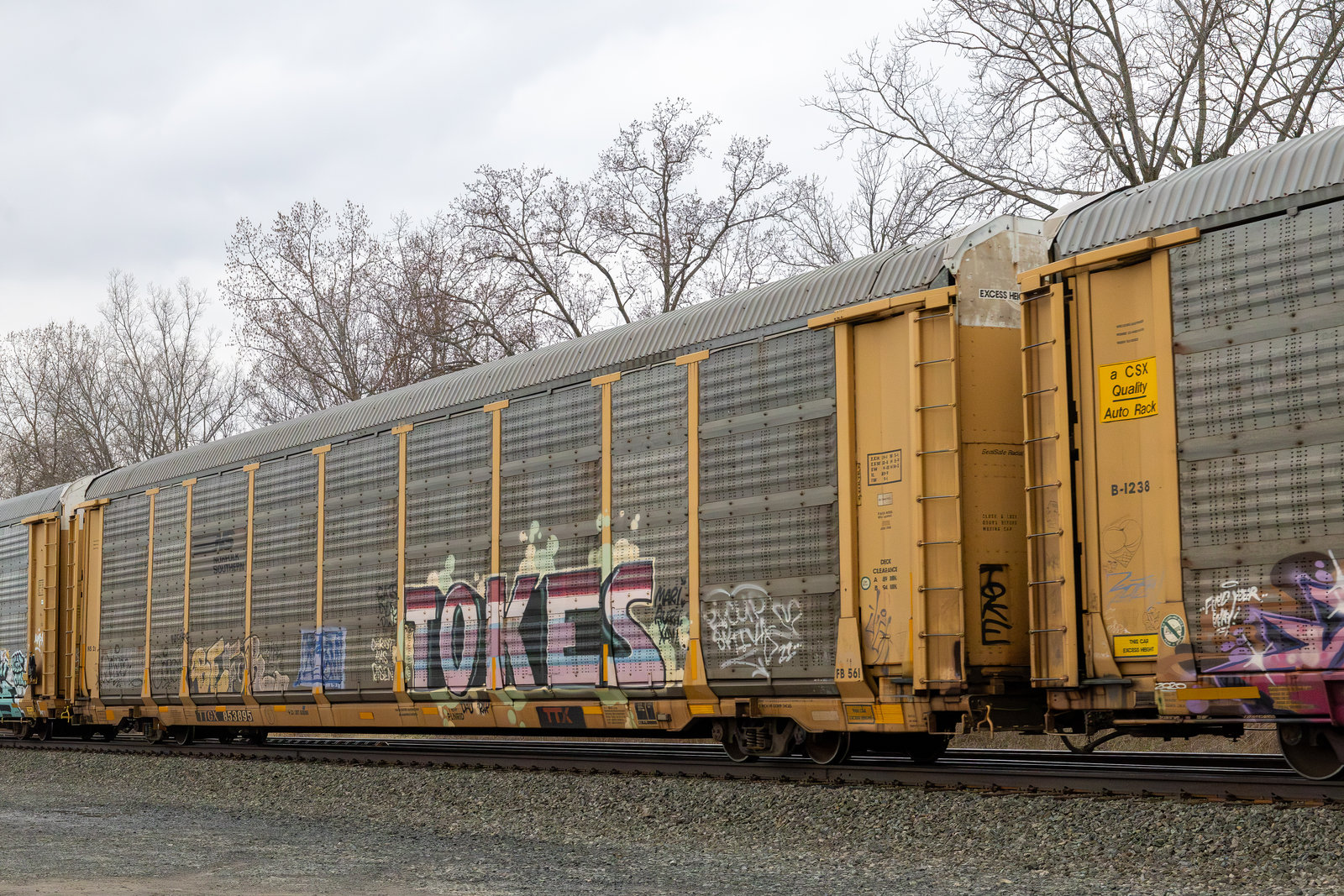 TTGX 853895