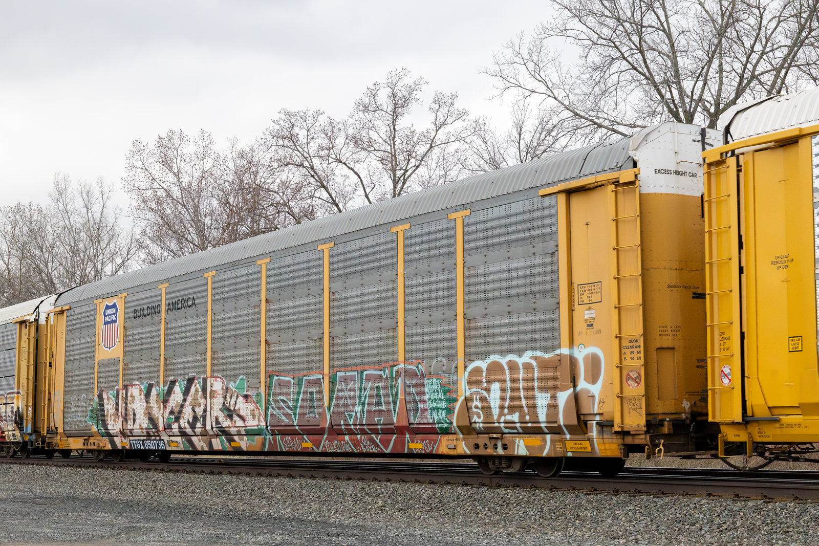 TTGX 850736