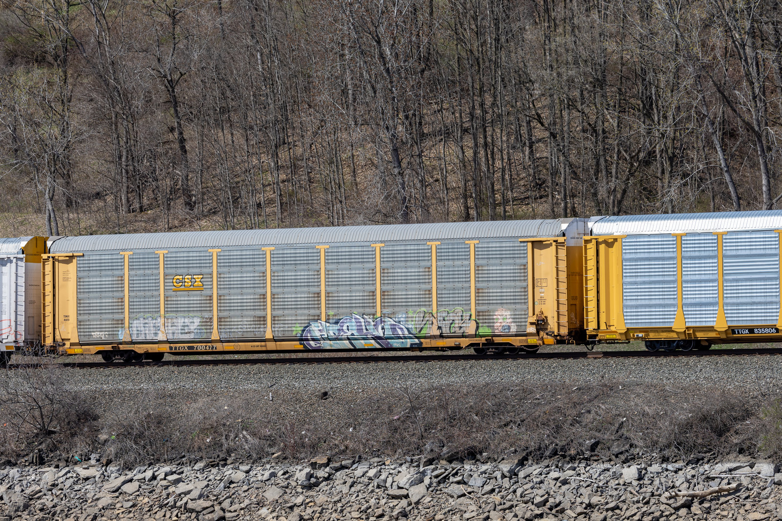 TTGX 700477