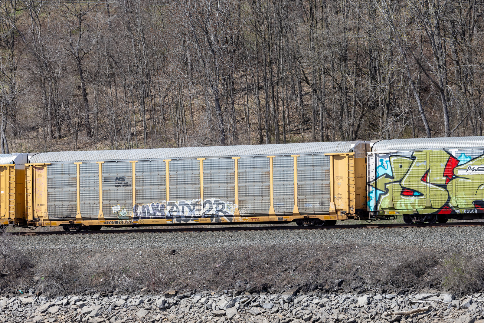 TTGX 700952