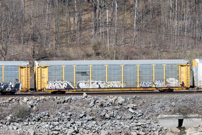 TTGX 851702