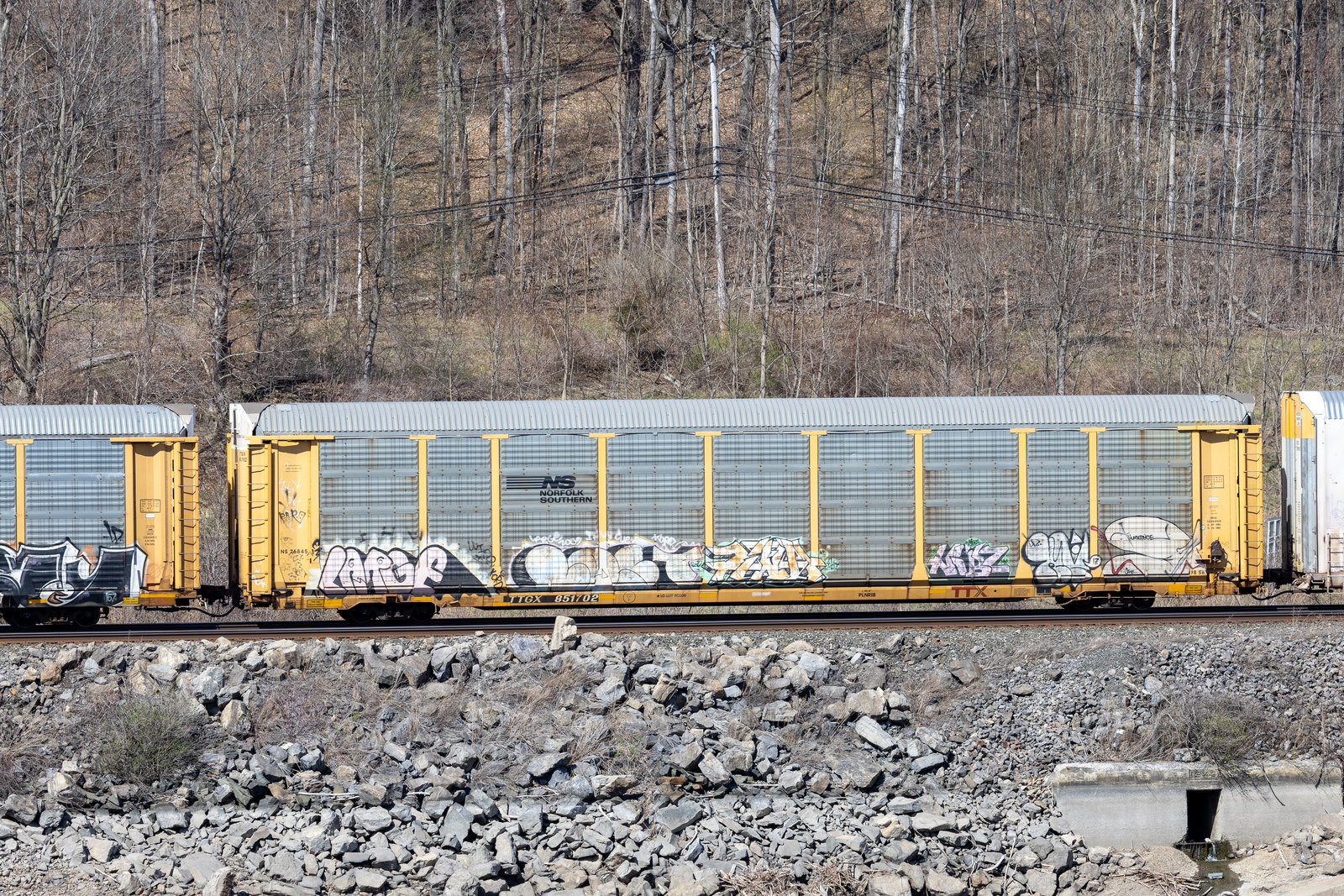TTGX 851702