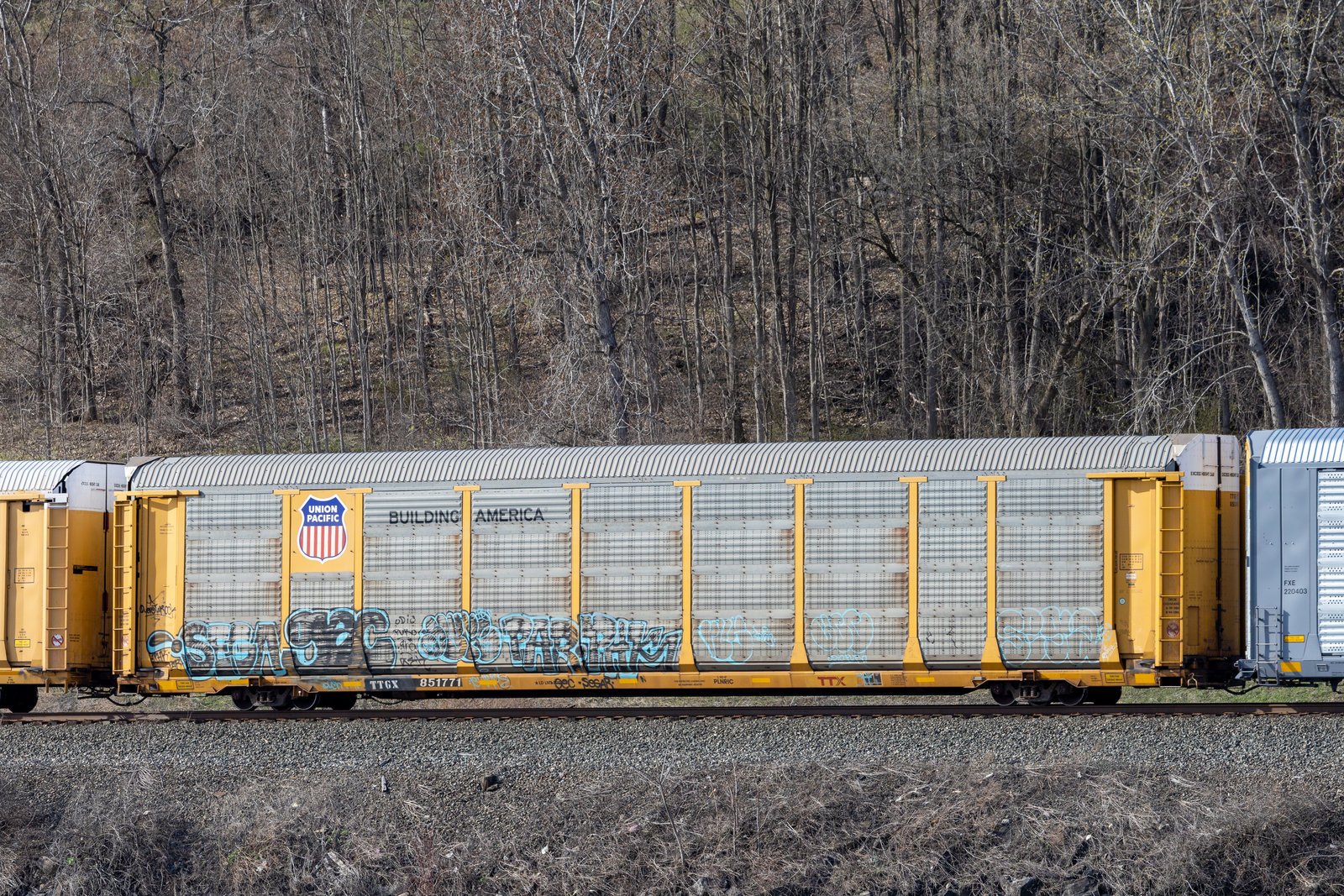 TTGX 851771
