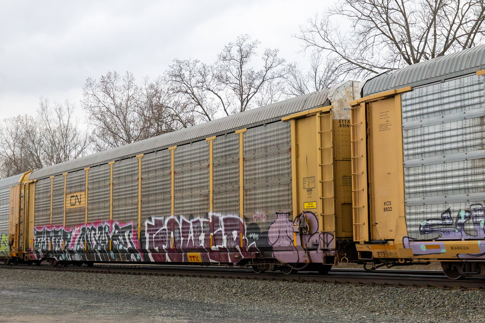 ETTX 851651