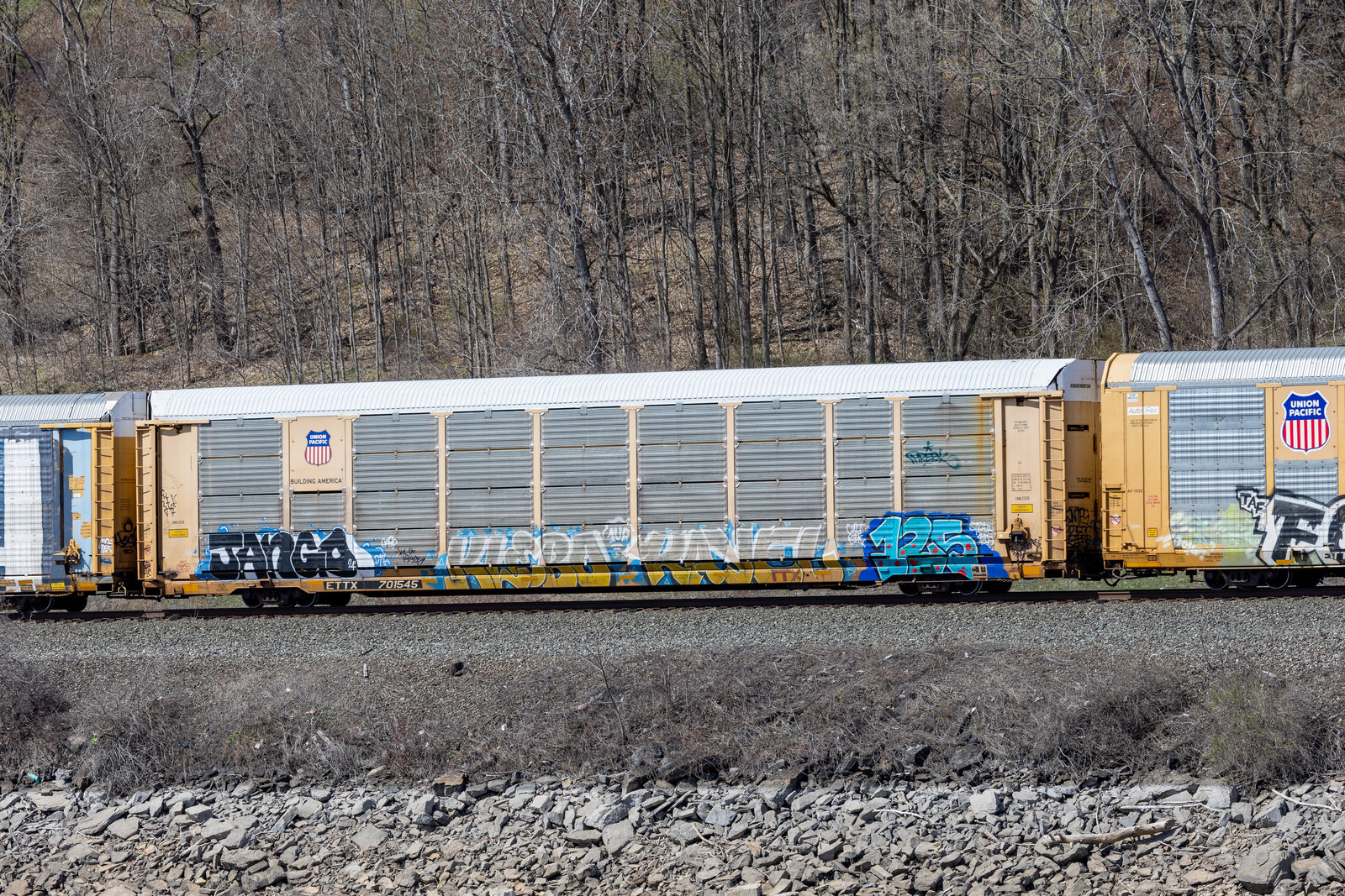 ETTX 701545