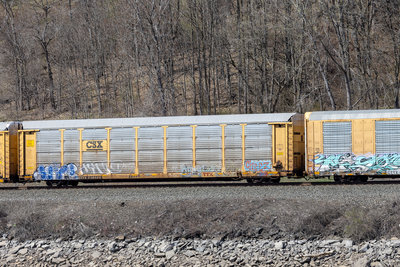 ETTX 710520