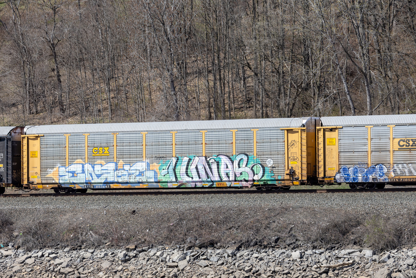 ETTX 853847