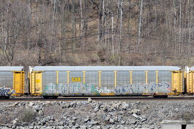 ETTX 711905
