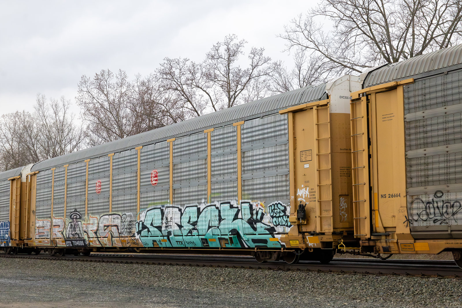 ETTX 704686