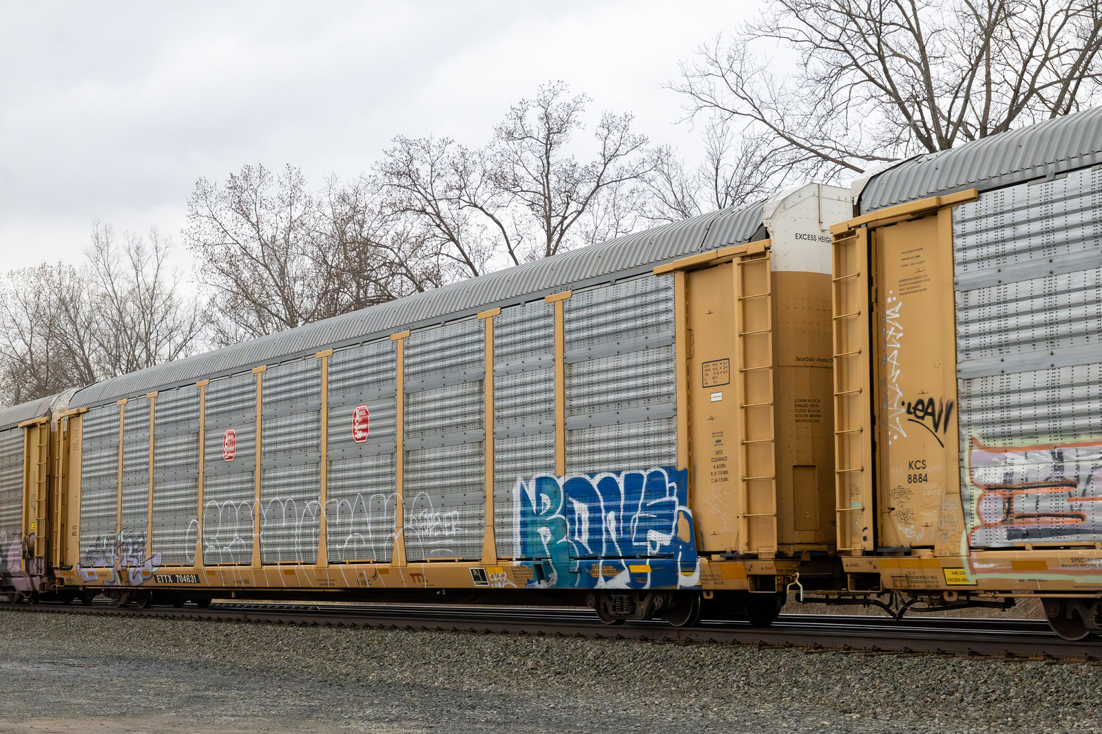 ETTX 704631