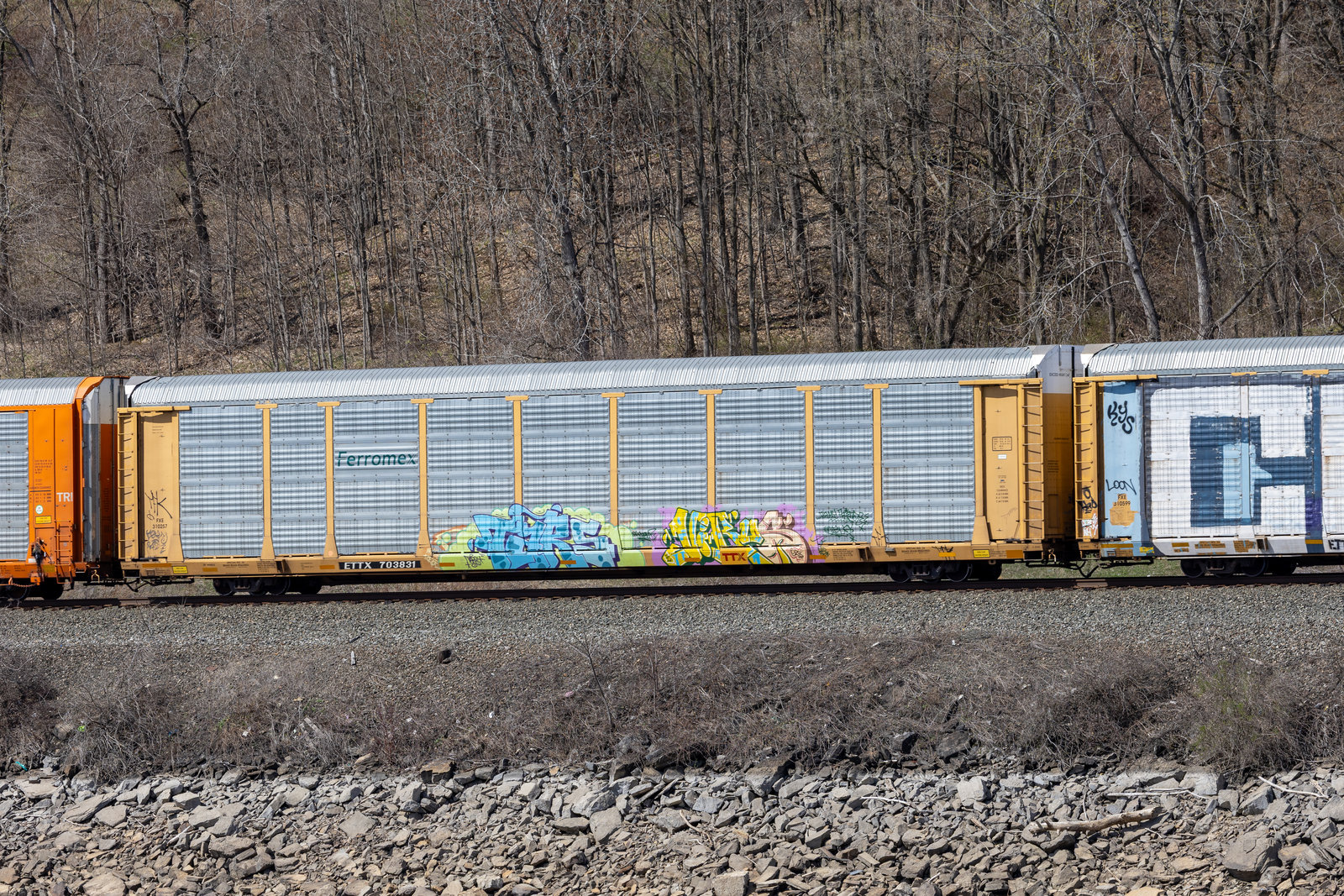 ETTX 703831