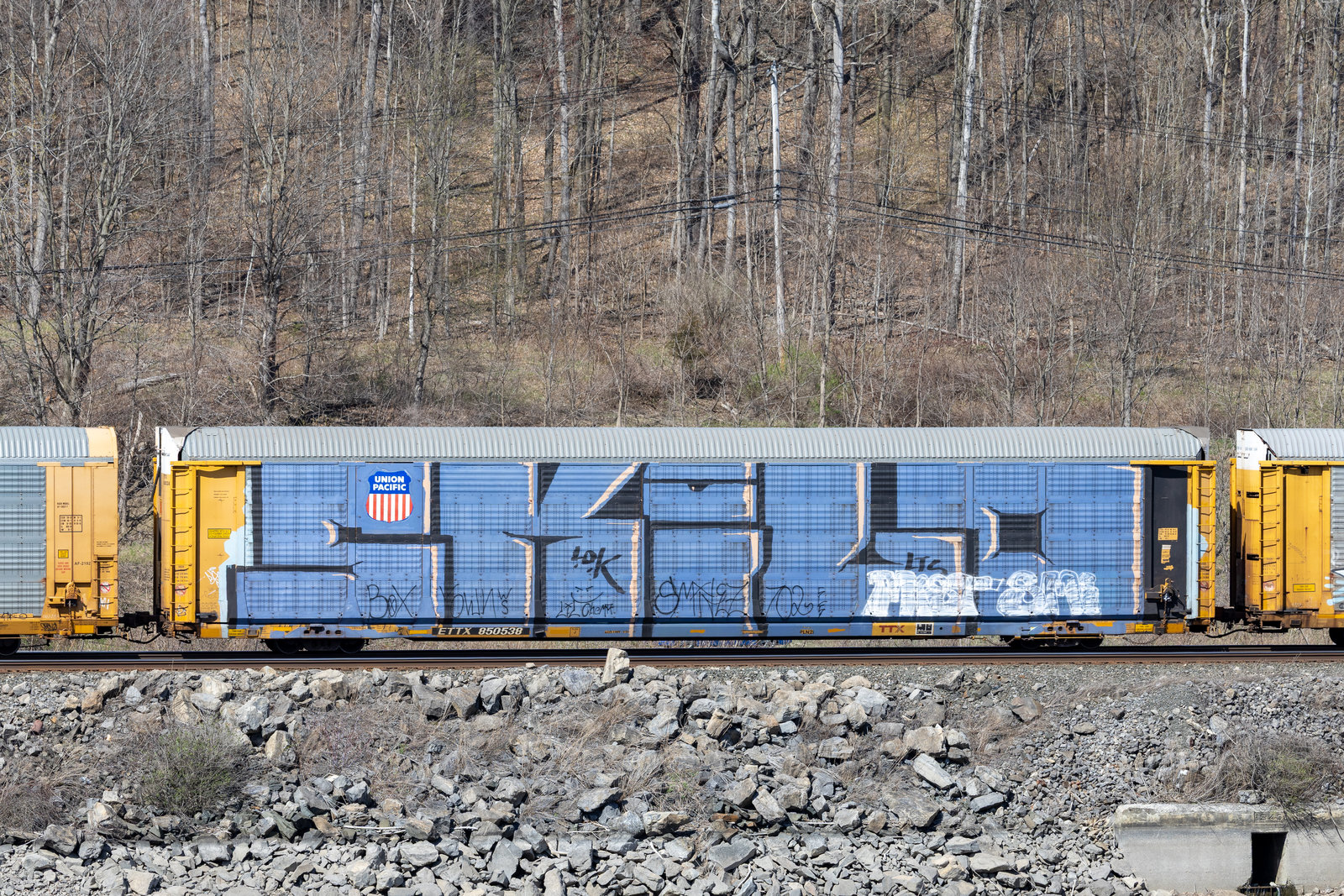 ETTX 850538