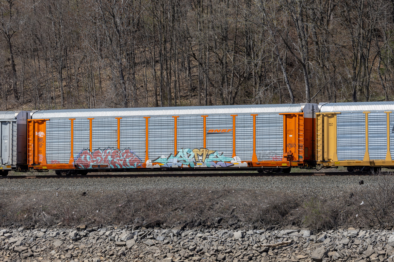 BNSF 302991