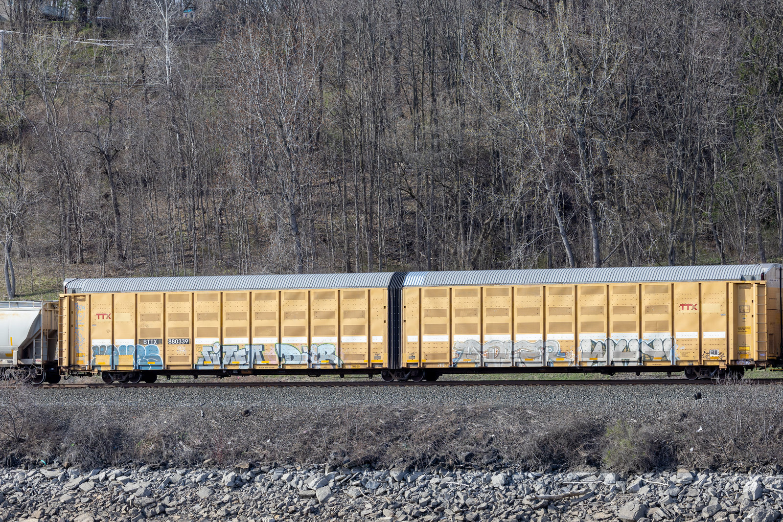 BTTX 880339