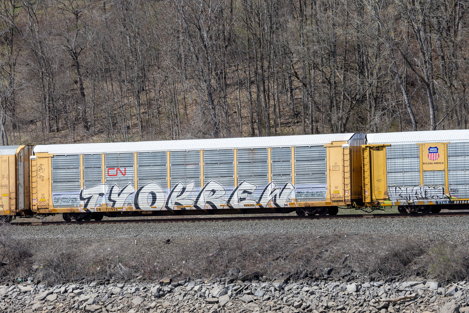CN 711955