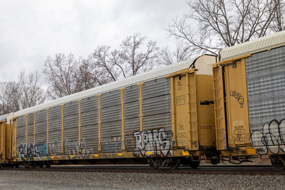 CNA 712425
