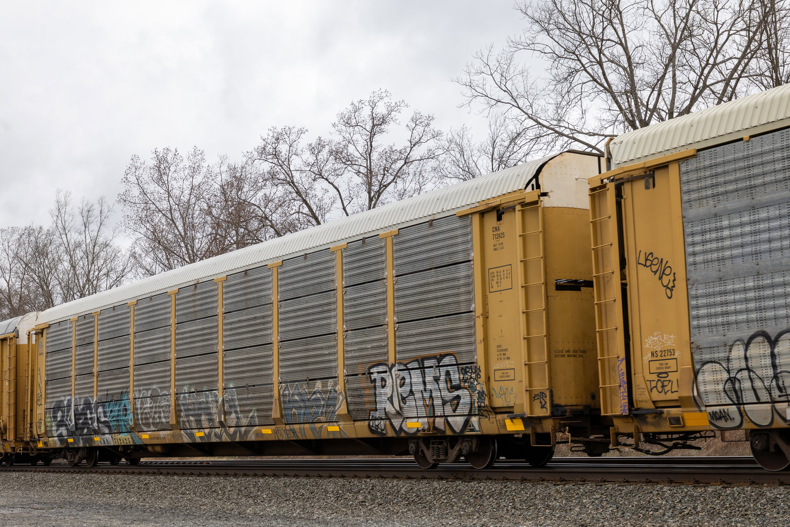 CNA 712425