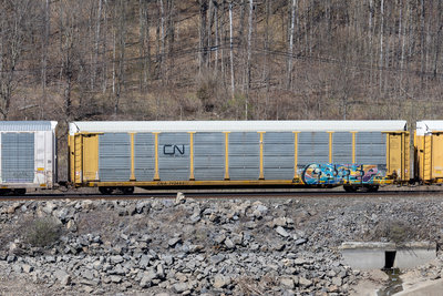 CNA 712493