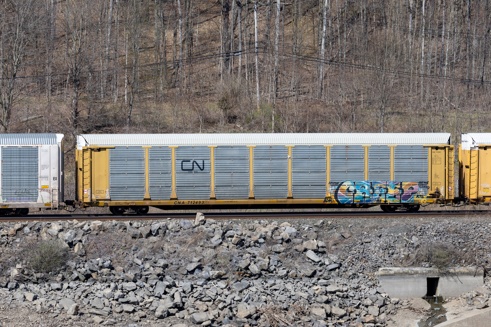 CNA 712493