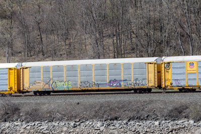 CPAA 543097