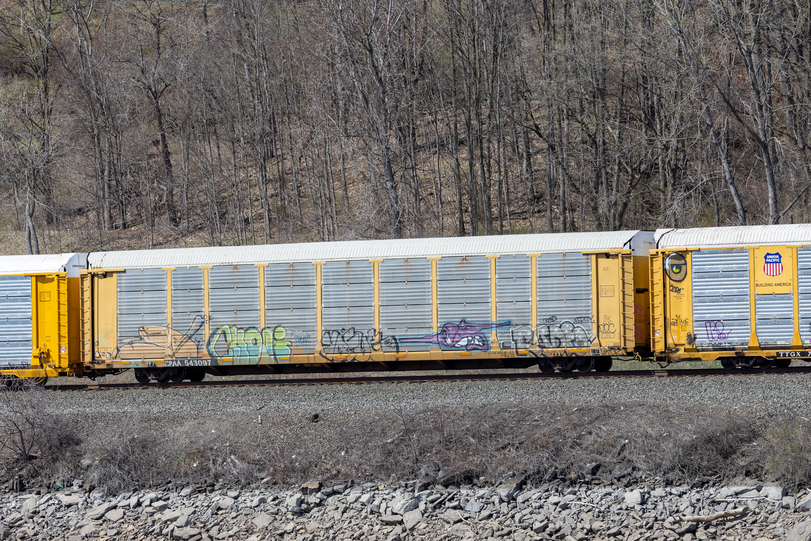 CPAA 543097