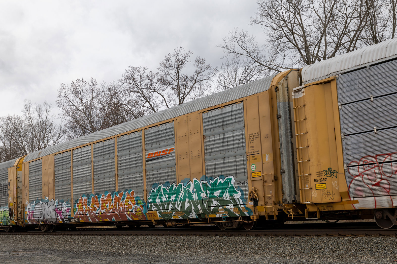 CTTX 693161