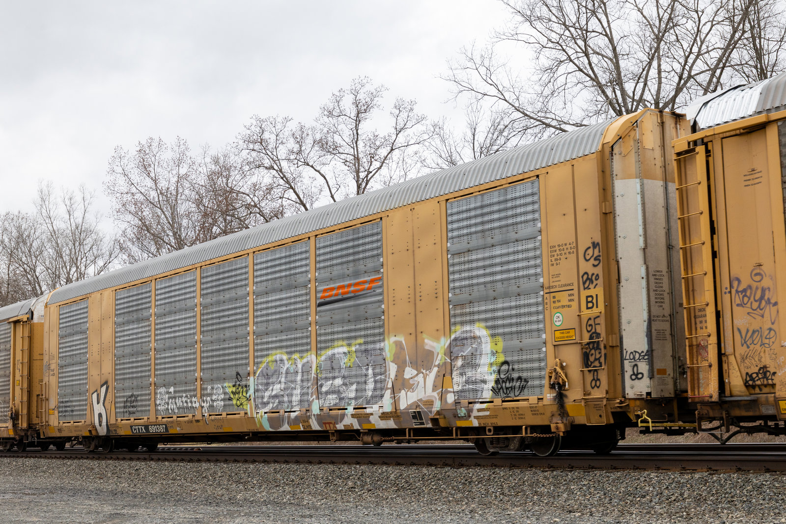 CTTX 691387