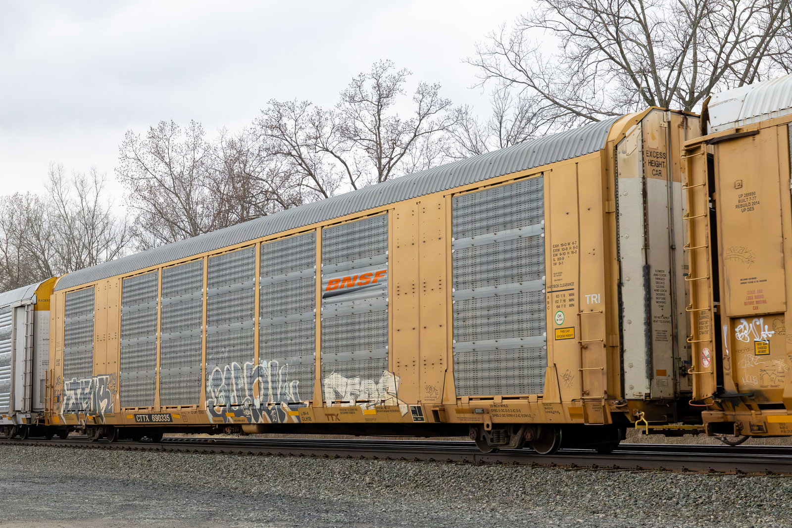 CTTX 690335