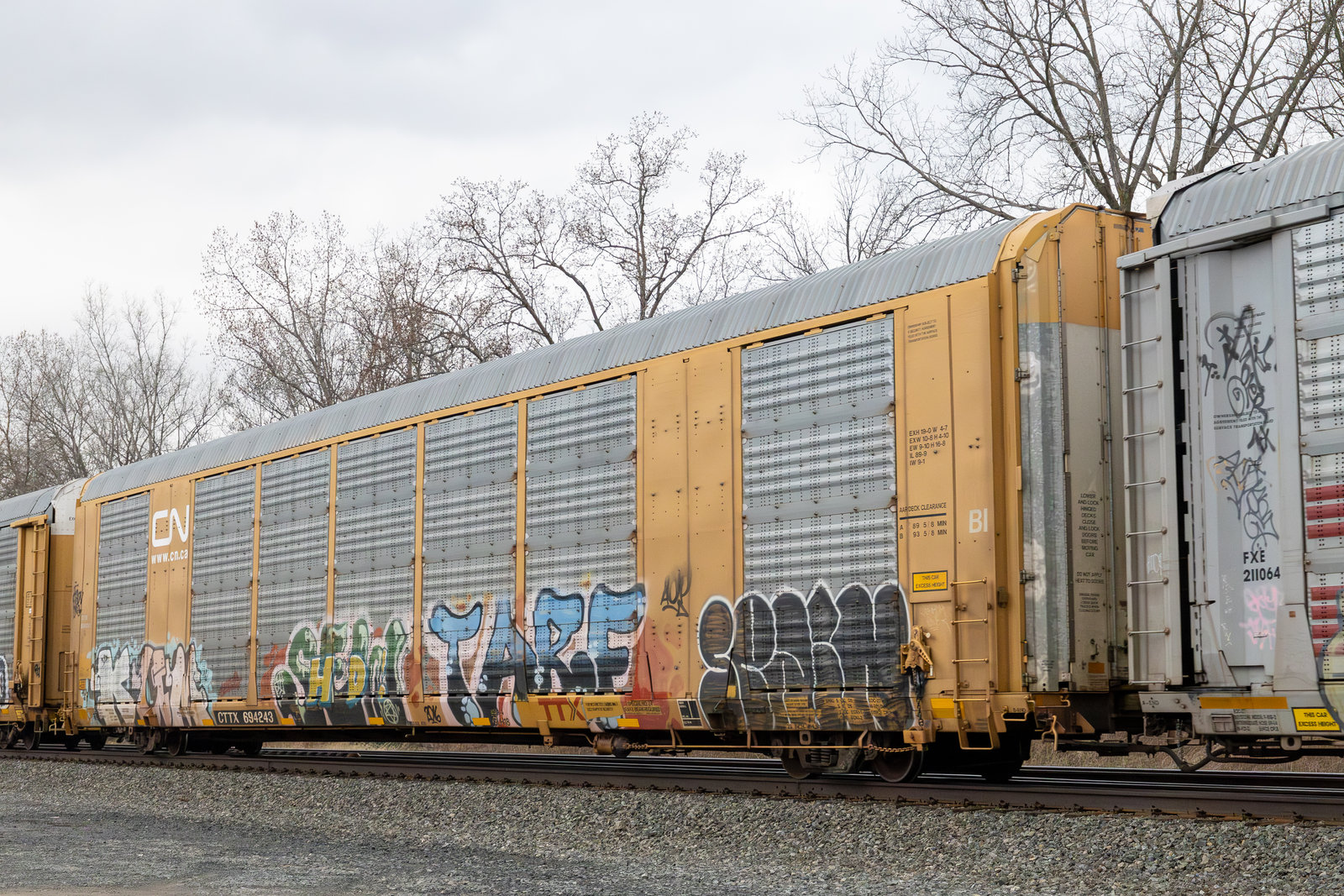 CTTX 694243