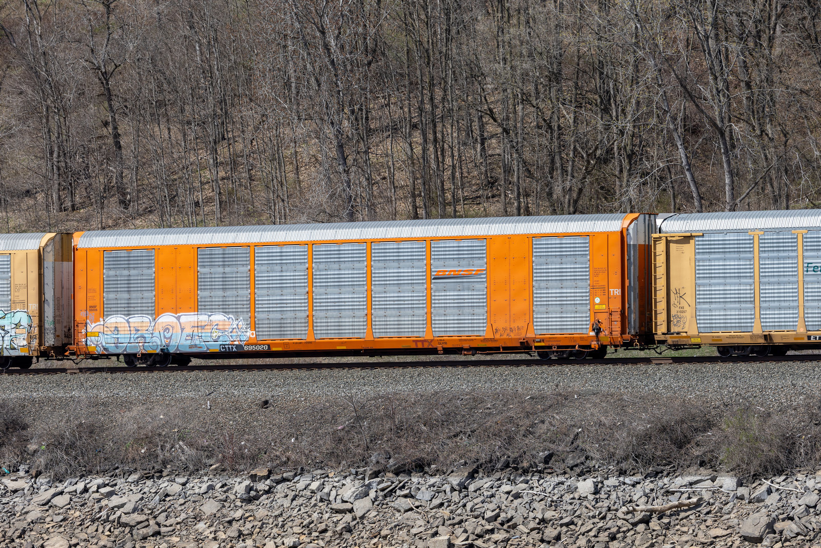 CTTX 695020