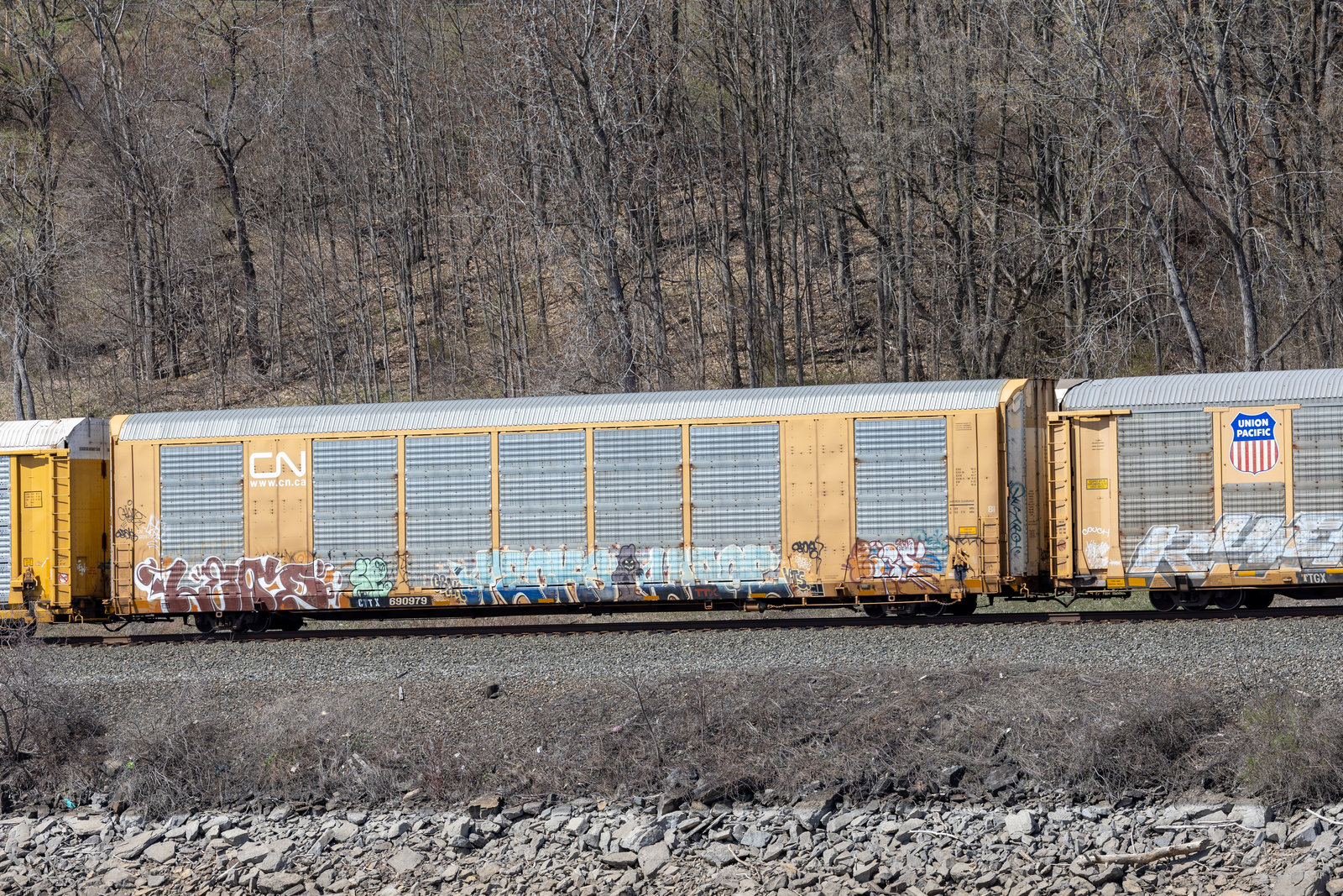 CTTX 690979