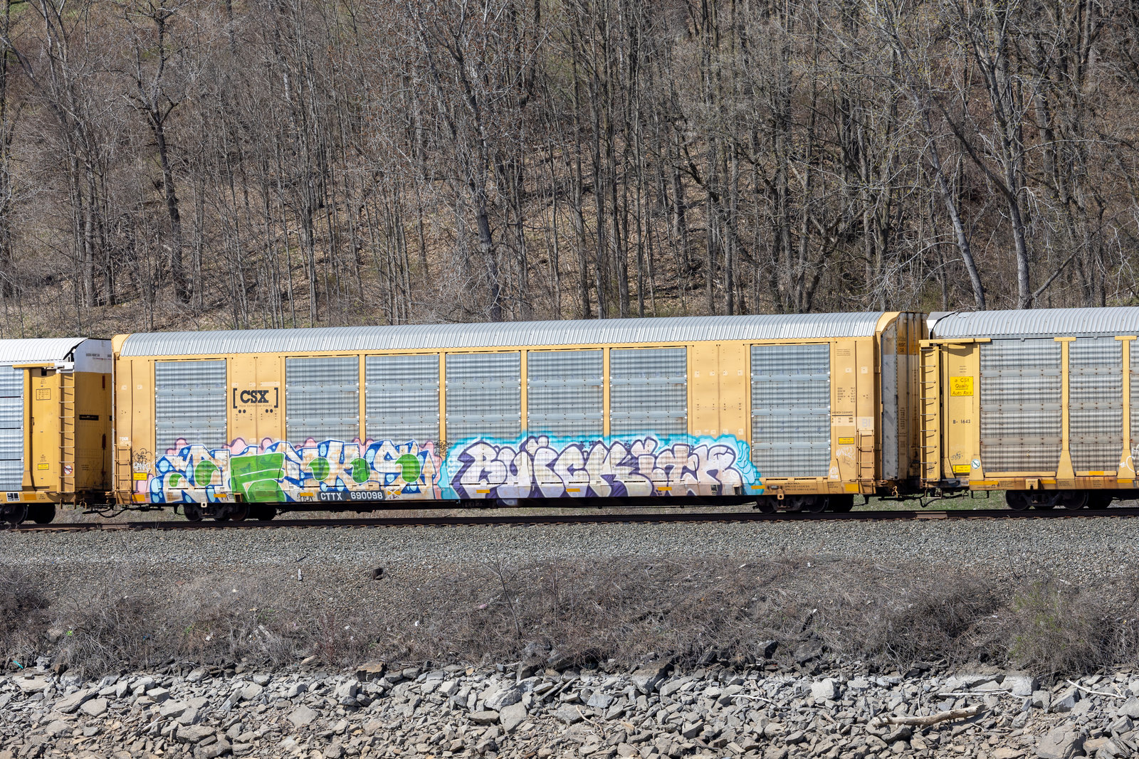 CTTX 690098