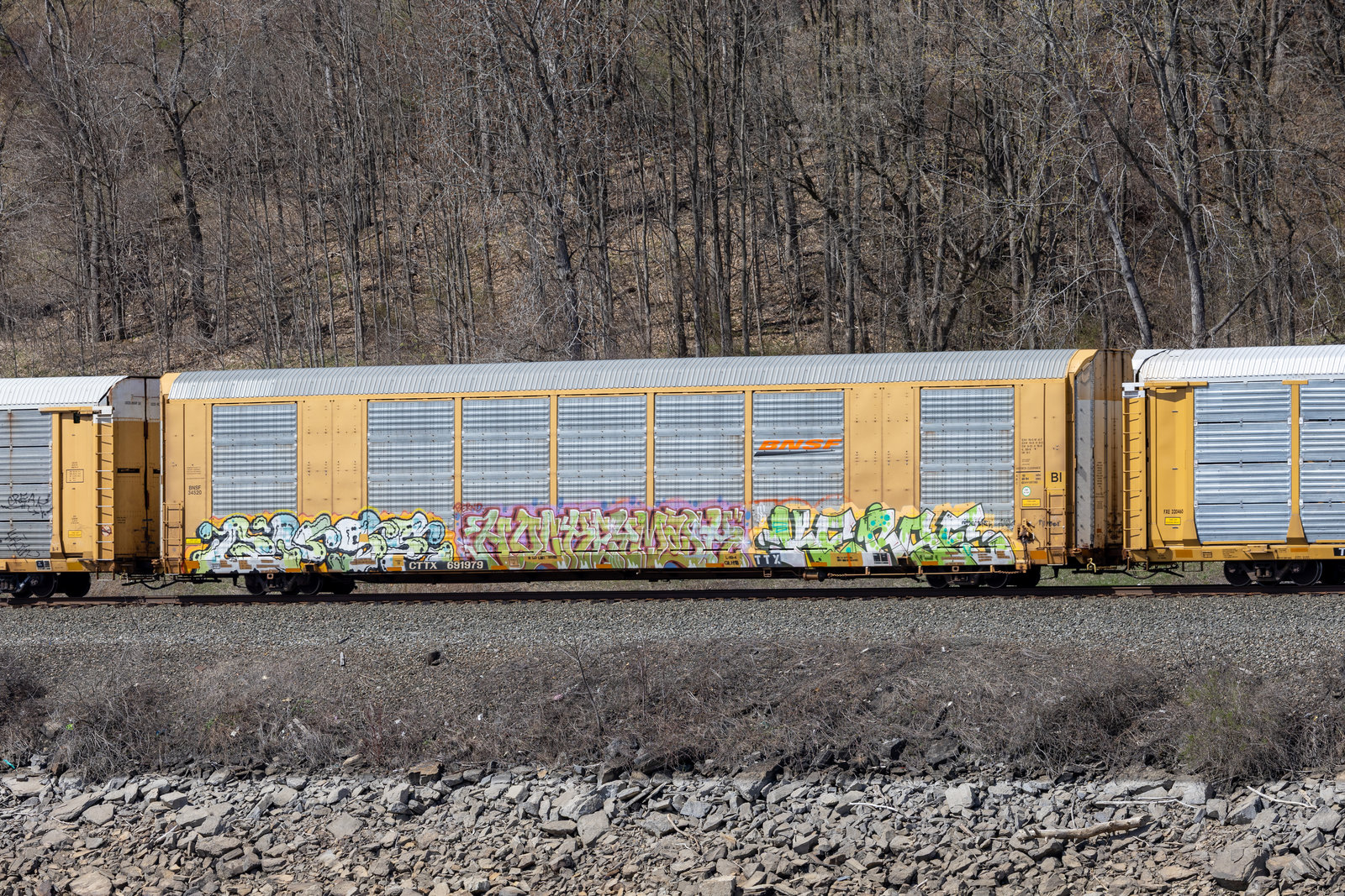 CTTX 691979