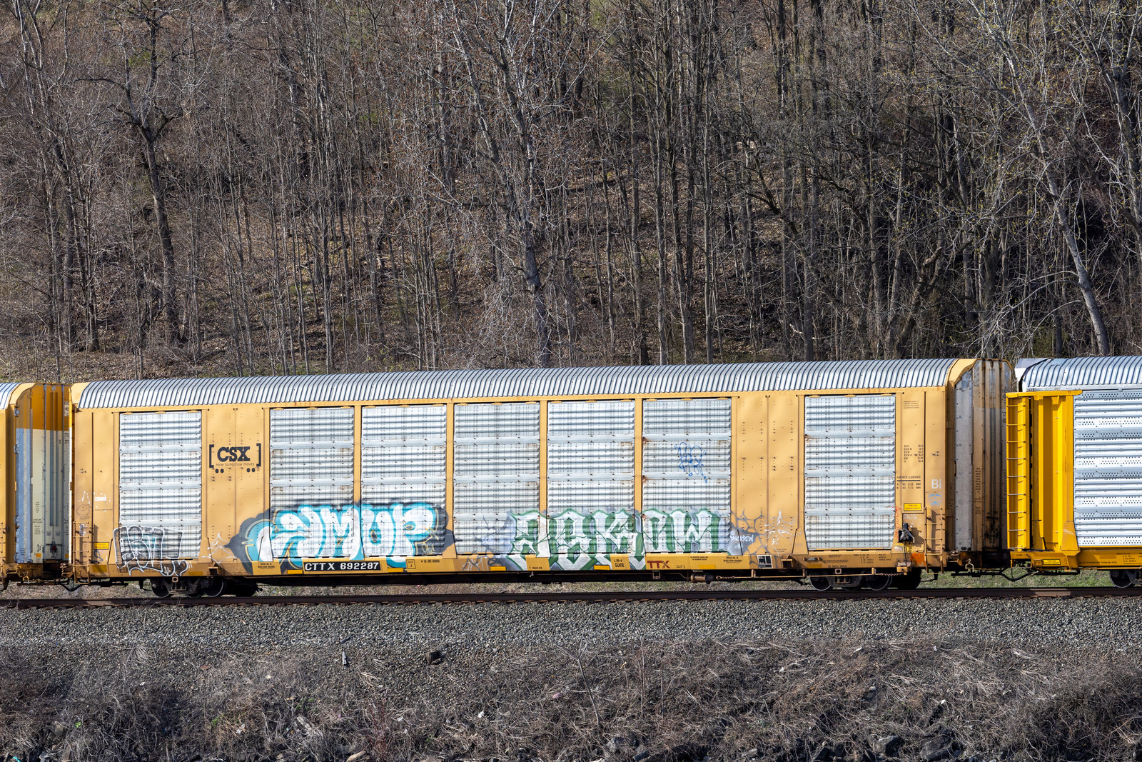 CTTX 692287