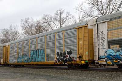 NKCR 7601