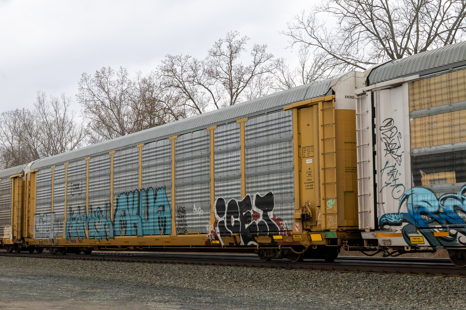 NKCR 7601