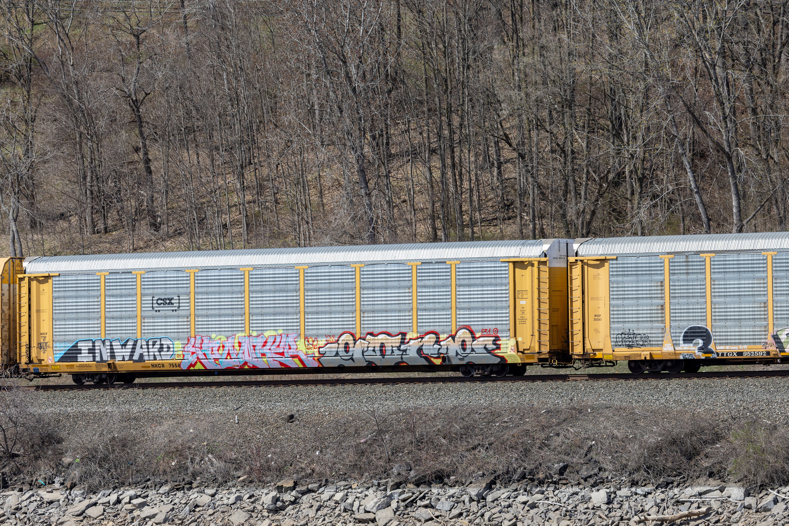 NKCR 7558
