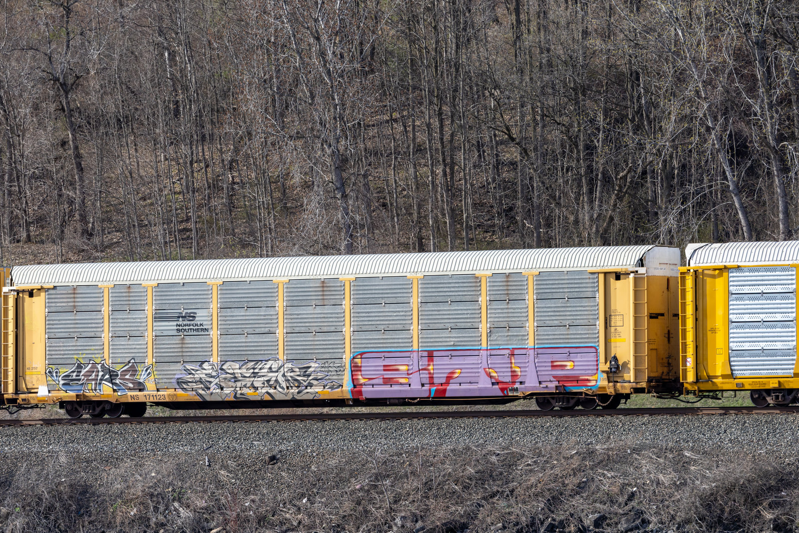 NS 171123