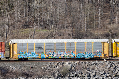 NS 171146