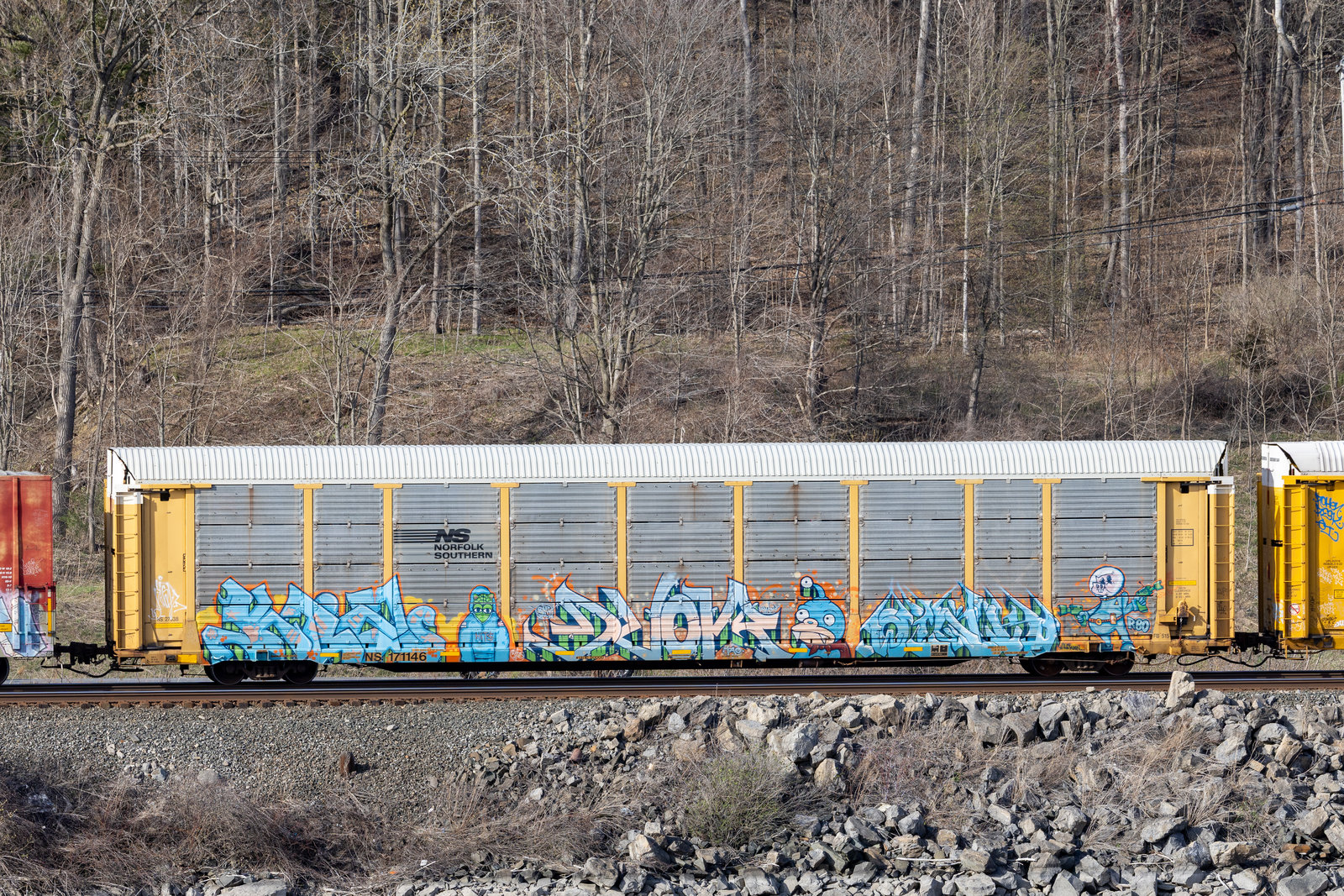 NS 171146