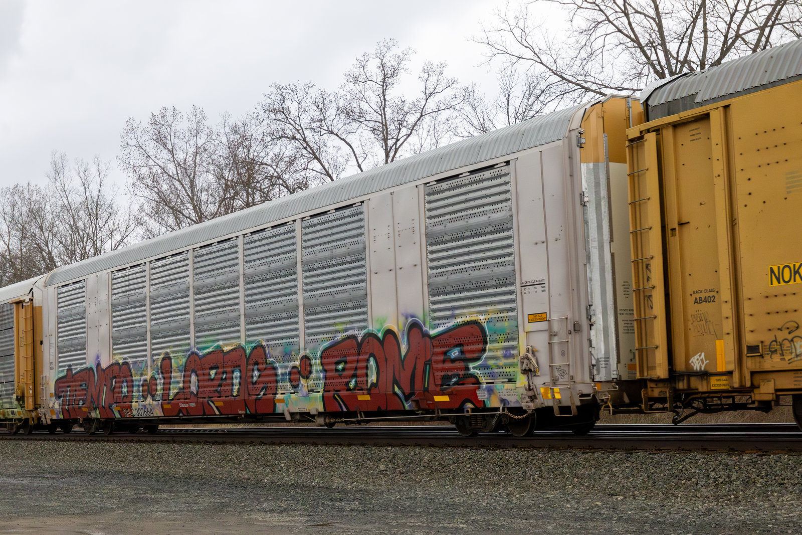 SFLC 307664