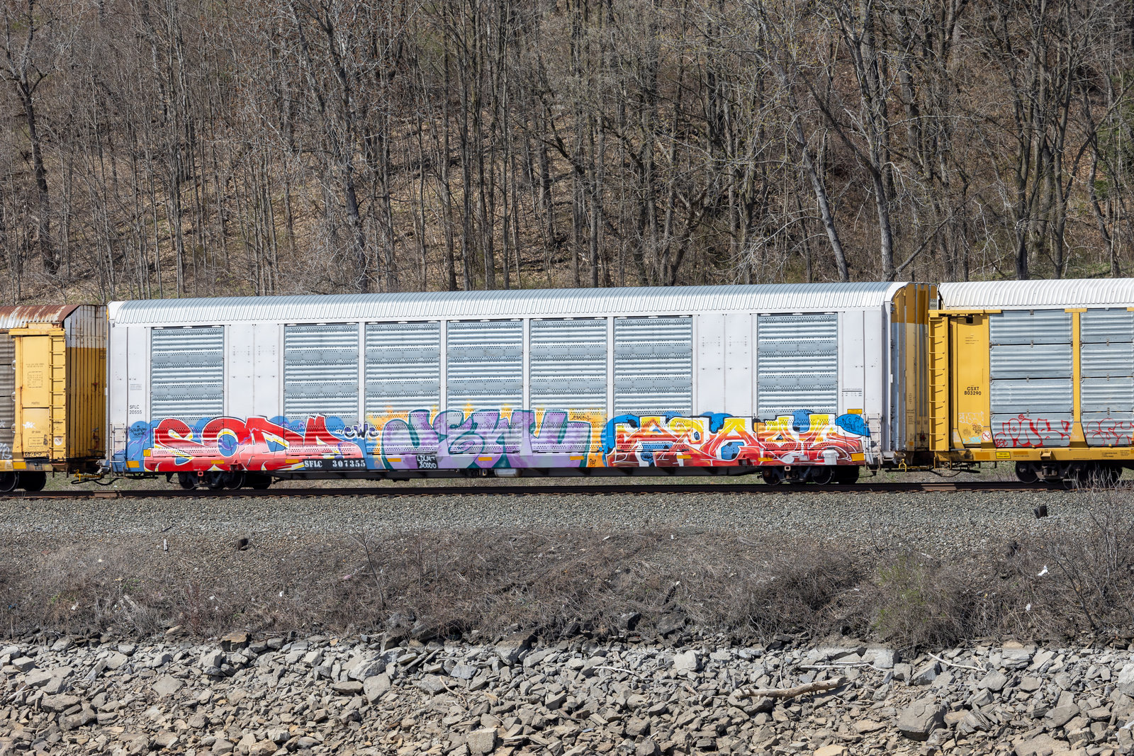 SFLC 307355