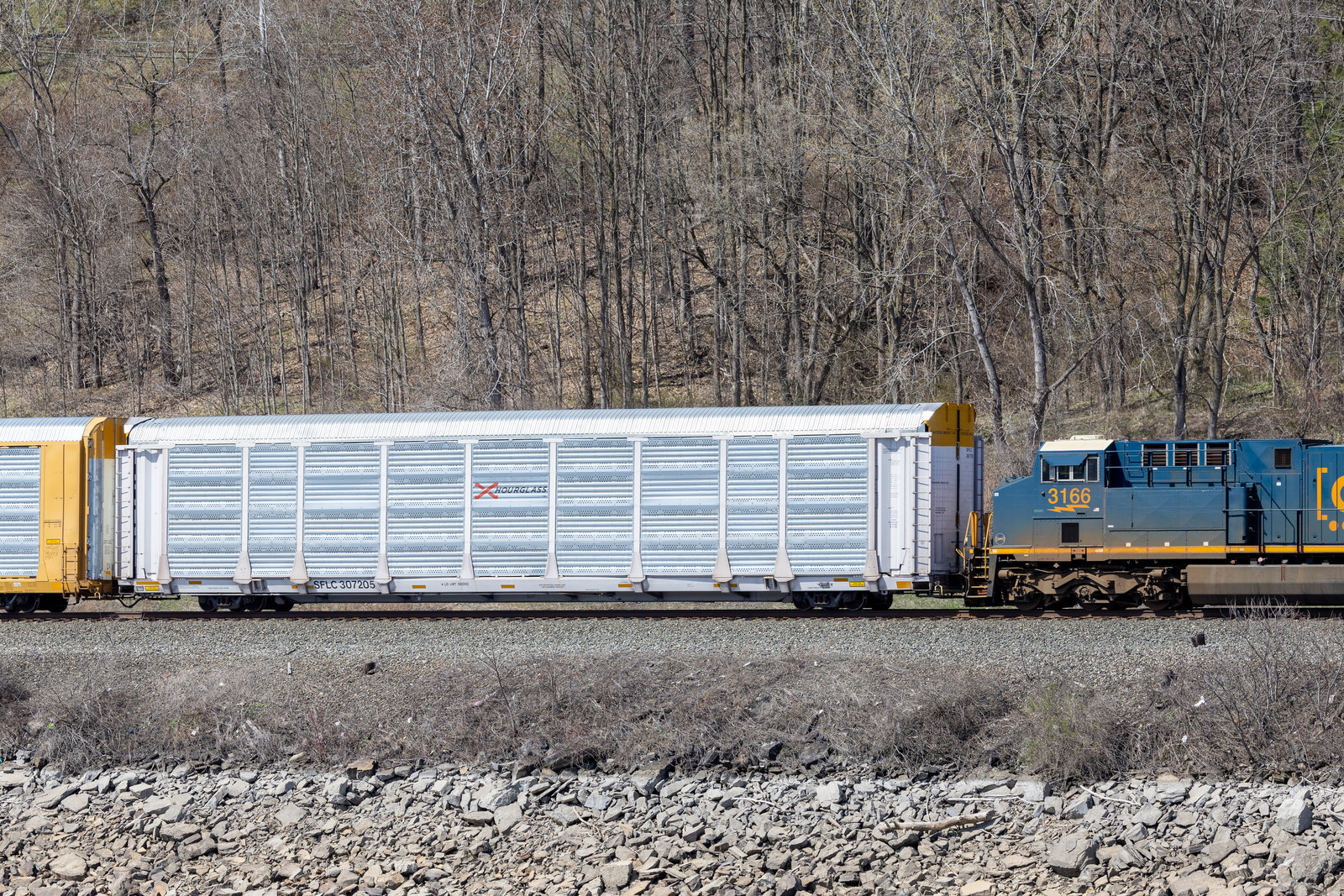 SFLC 307205