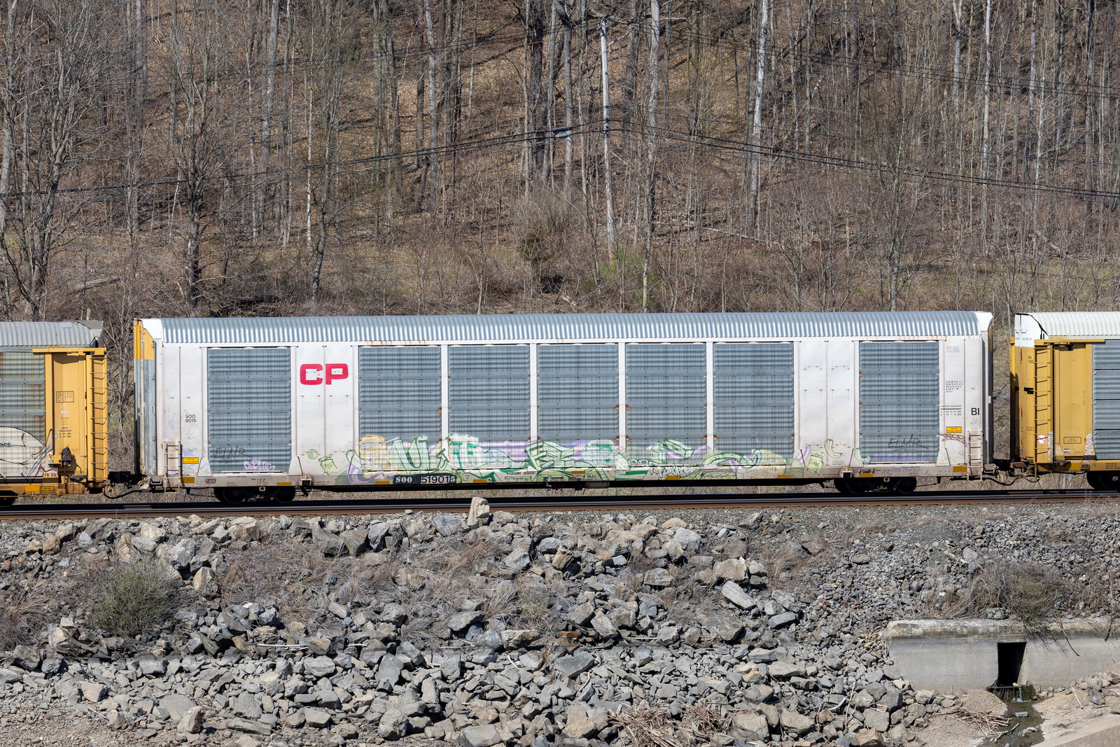 SOO 519015