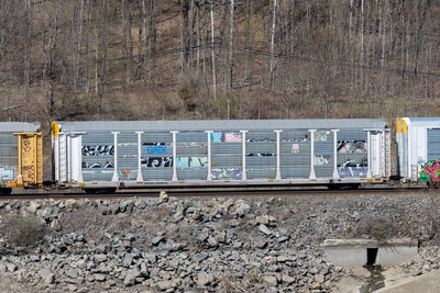 WRWK 300098