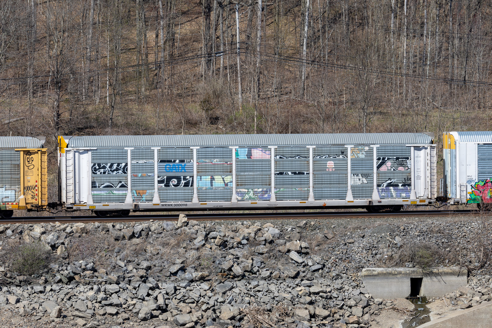 WRWK 300098