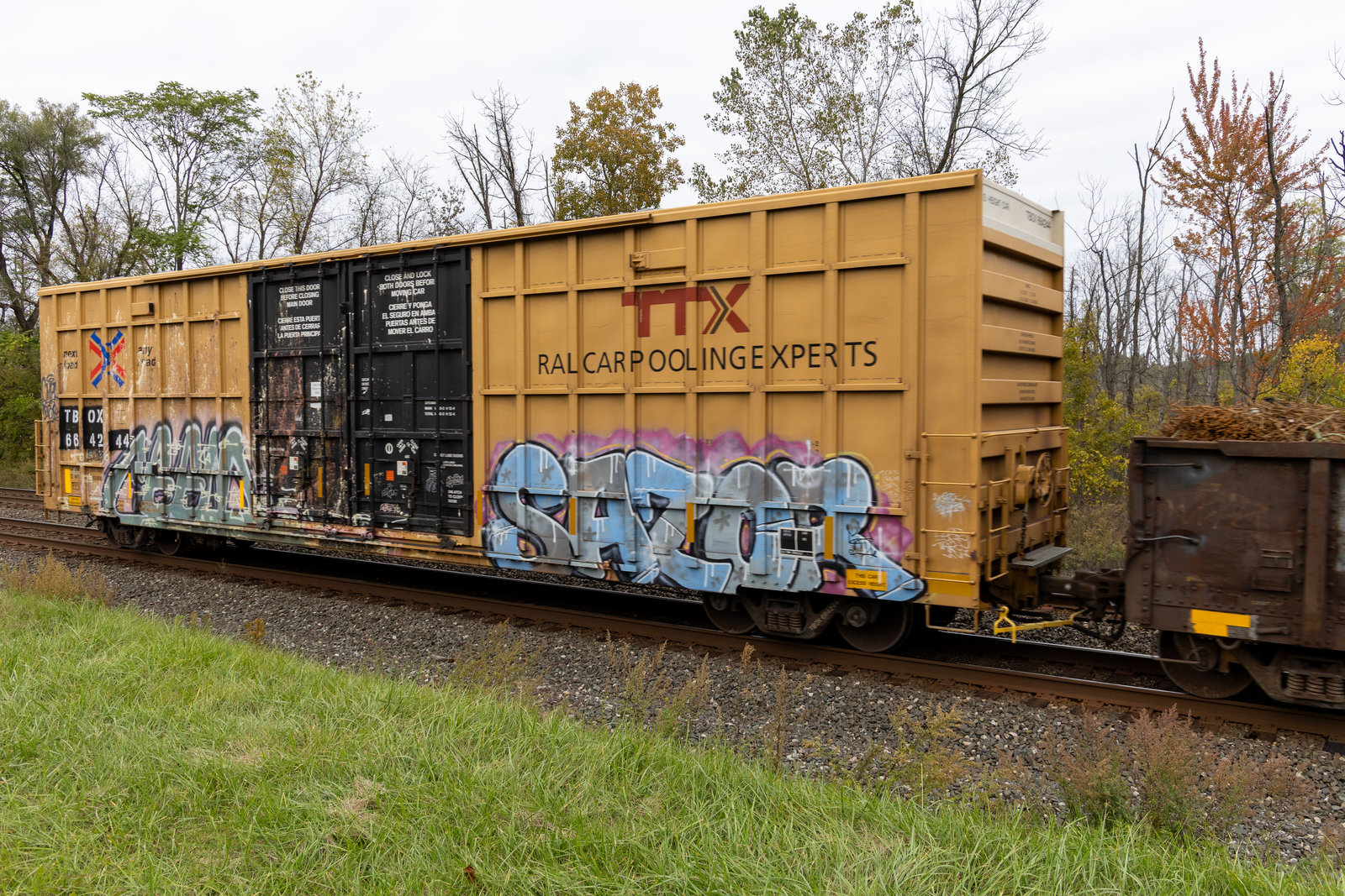 TBOX 664244