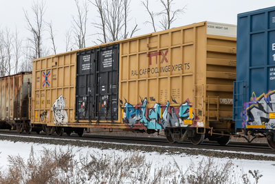 TBOX 664702