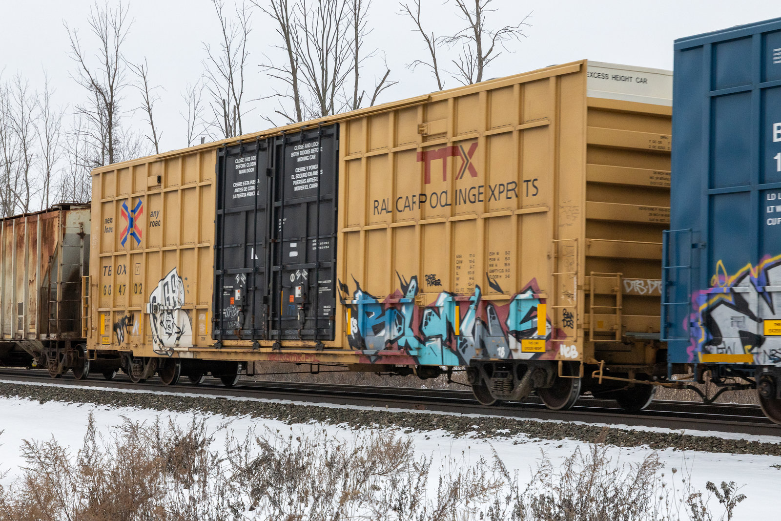 TBOX 664702